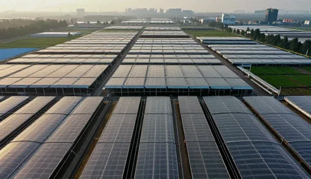 企业登记套餐选型中的成果转化关键考量